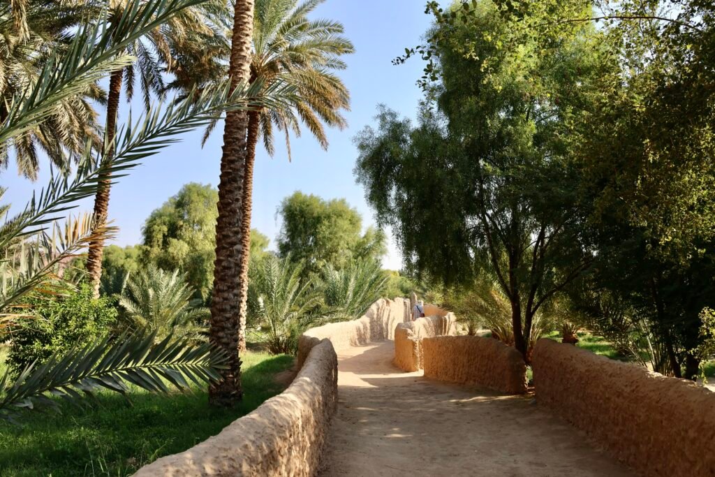 saoedi arabië 2025 11 08 (120)